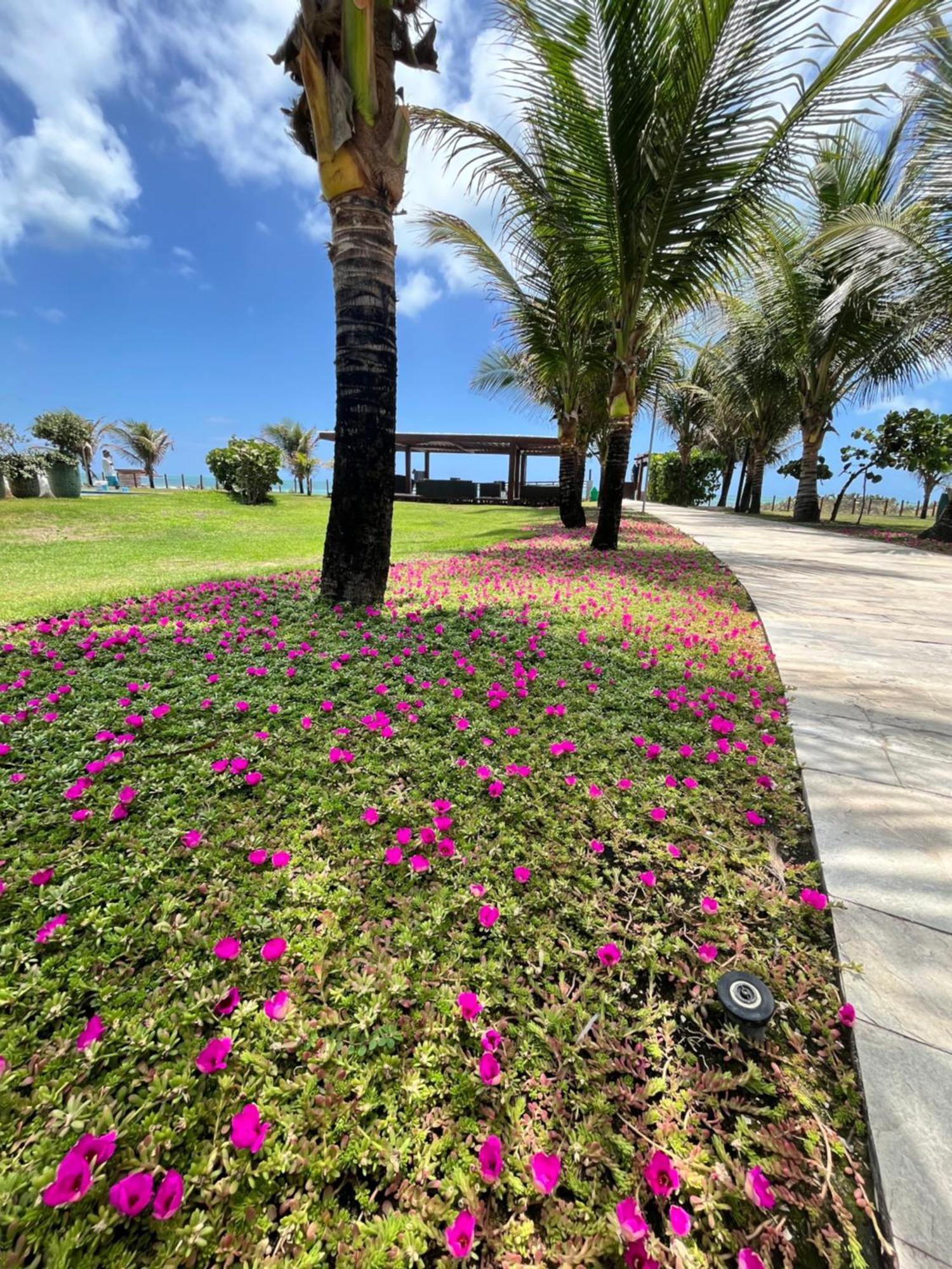 Resort Beira Mar Em Porto De Galinhas - Cupe Beach Living Ngoại thất bức ảnh
